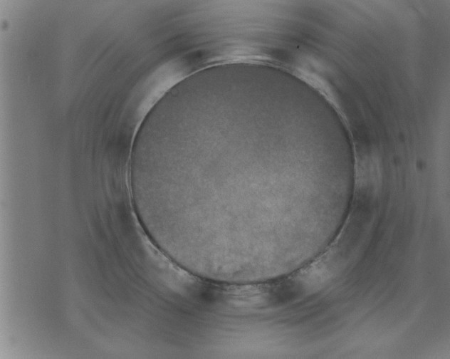 X0000073491338200608211640