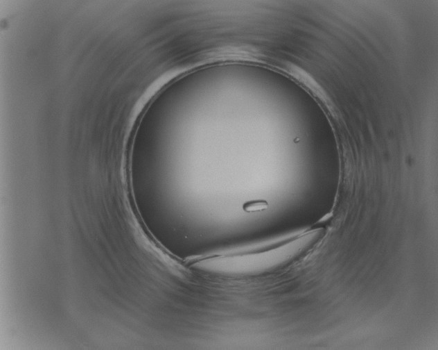 X0000073491339200608211640