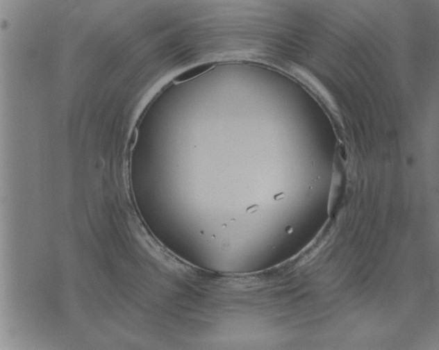 X0000073491340200608211640