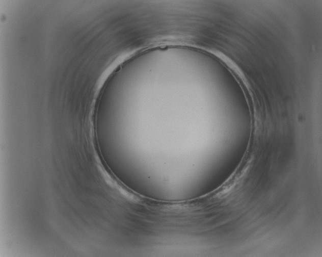 X0000073491341200608211640