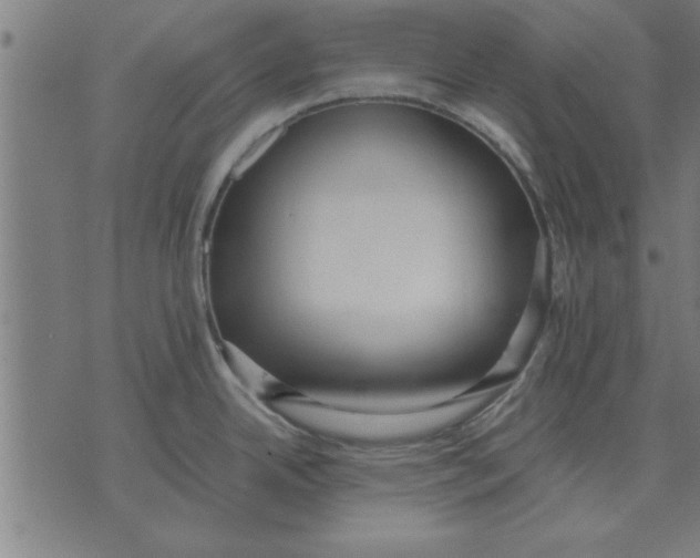 X0000073491342200608211640