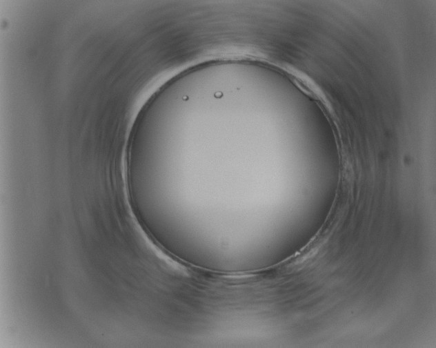 X0000073491343200608211640