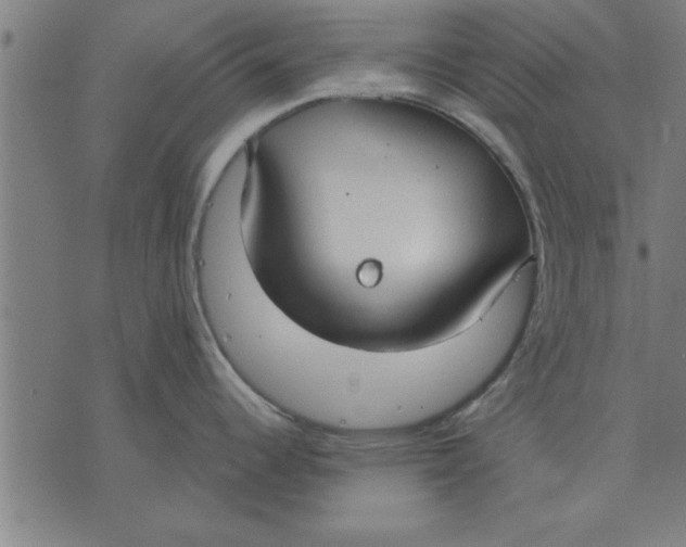 X0000073491344200608211640