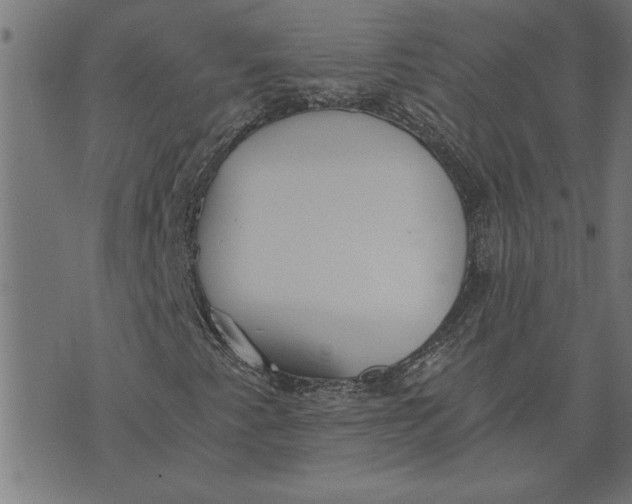 X0000073491345200608211639