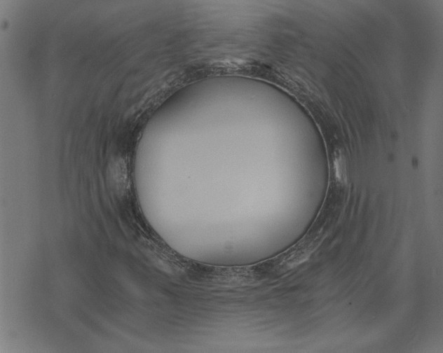 X0000073491347200608211639