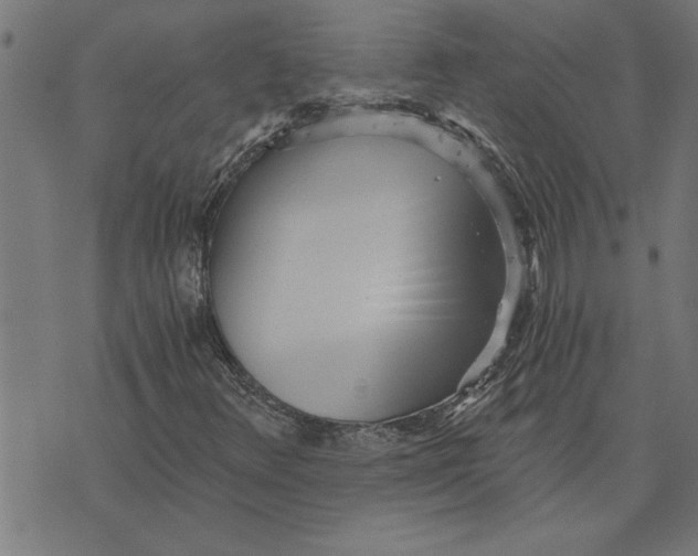 X0000073491348200608211639