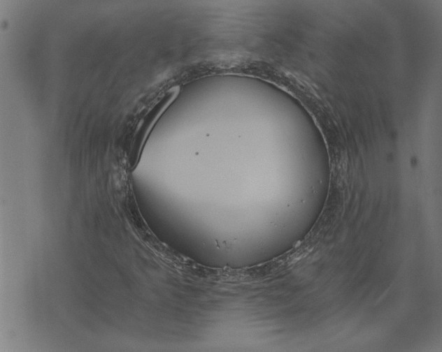 X0000073491349200608211639