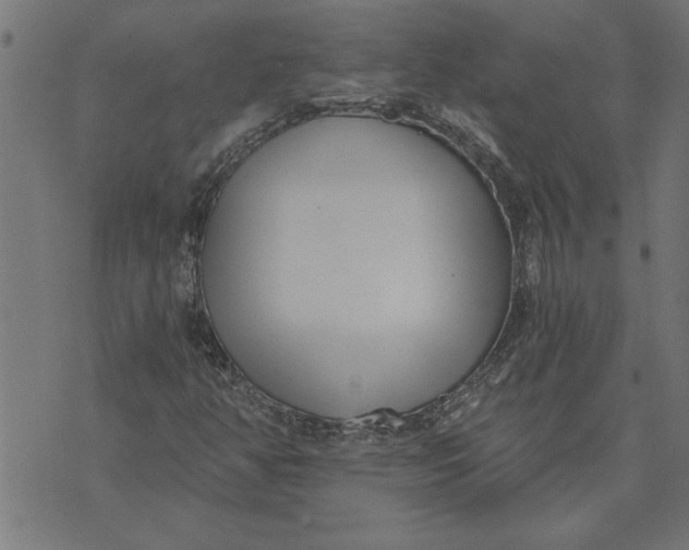 X0000073491350200608211639