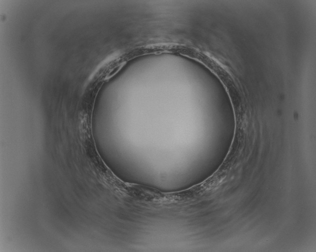 X0000073491351200608211639