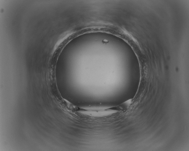 X0000073491352200608211639