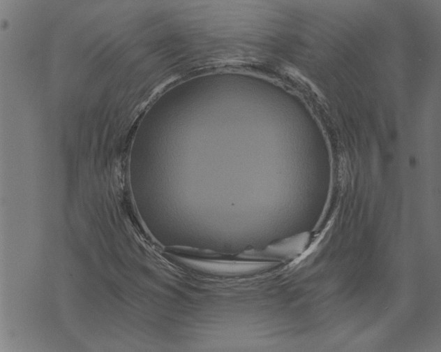 X0000073491353200608211639