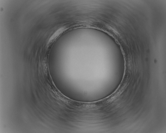 X0000073491354200608211639