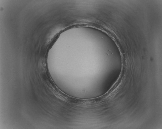 X0000073491355200608211639