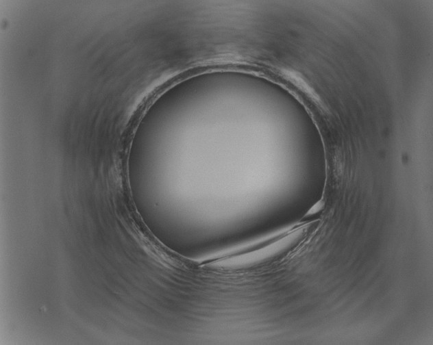 X0000073491356200608211639