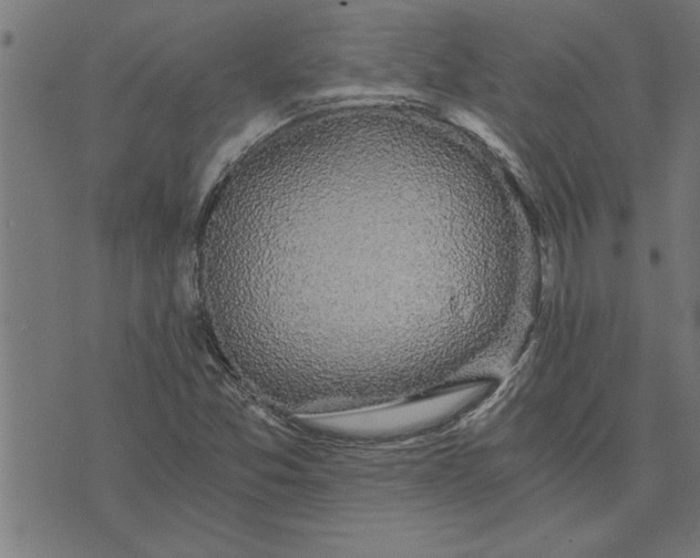 X0000073491357200608211639