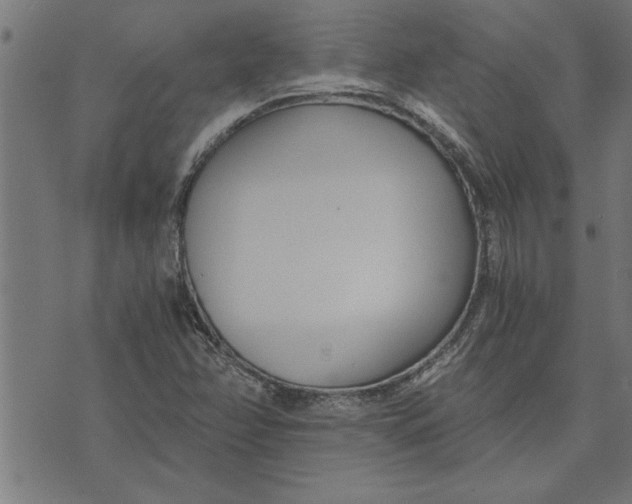 X0000073491358200608211639