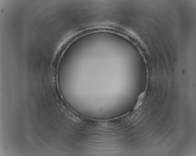 X0000073491360200608211639