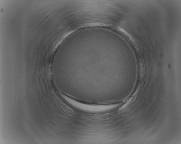 X0000073491361200608211639