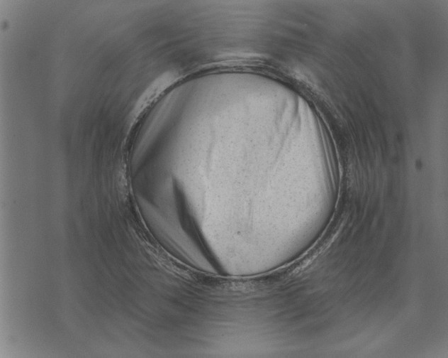 X0000073491362200608211639