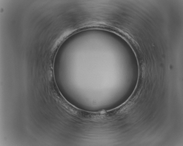 X0000073491363200608211639