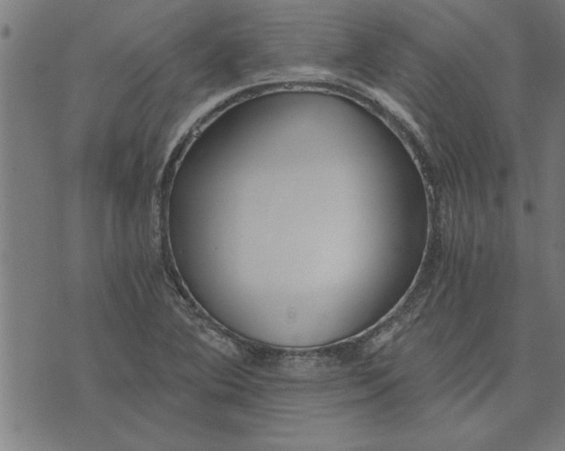 X0000073491364200608211639