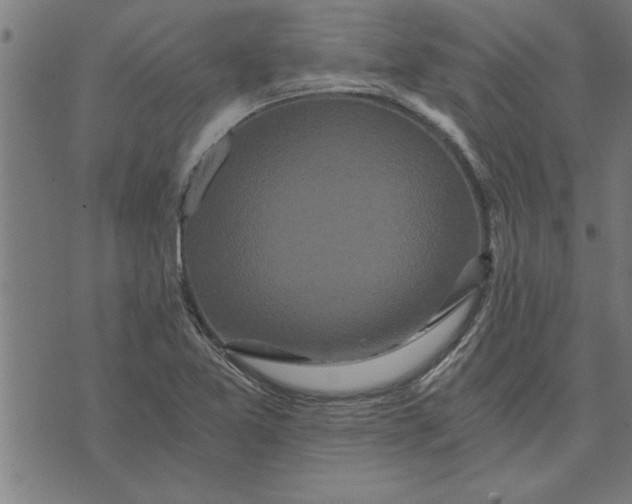 X0000073491365200608211639