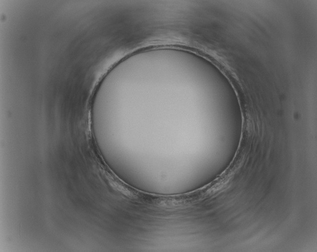 X0000073491366200608211639