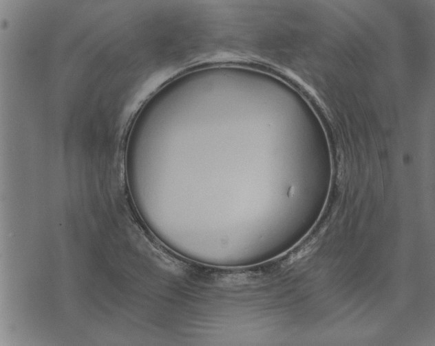 X0000073491367200608211639