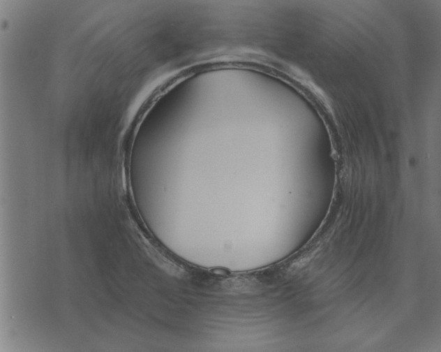 X0000073491368200608211639