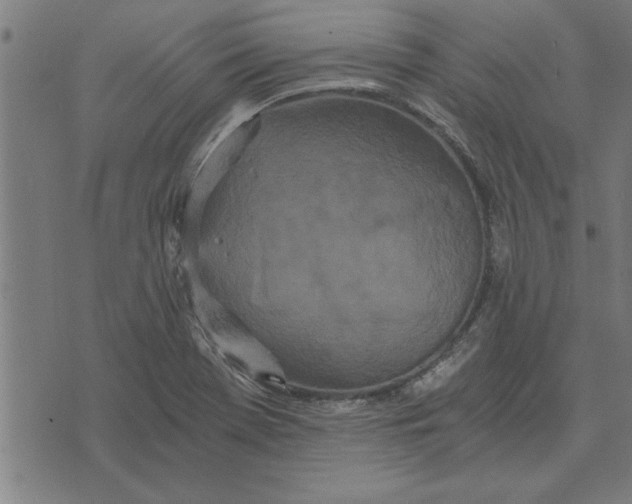 X0000073491369200608211639