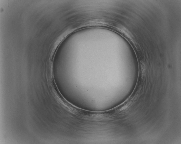 X0000073491371200608211639