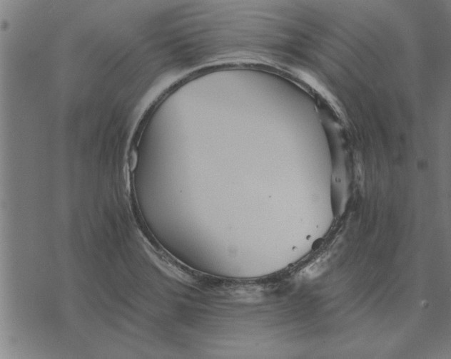 X0000073491372200608211639