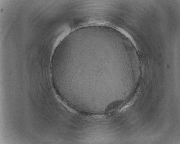 X0000073491373200608211639