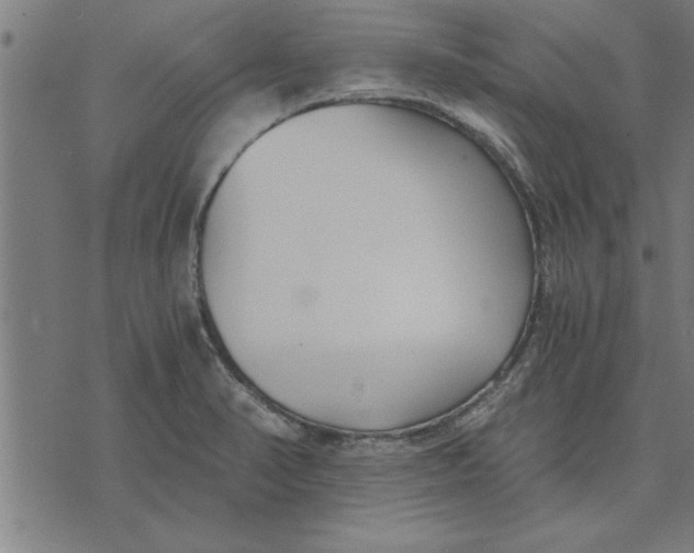 X0000073491374200608211639