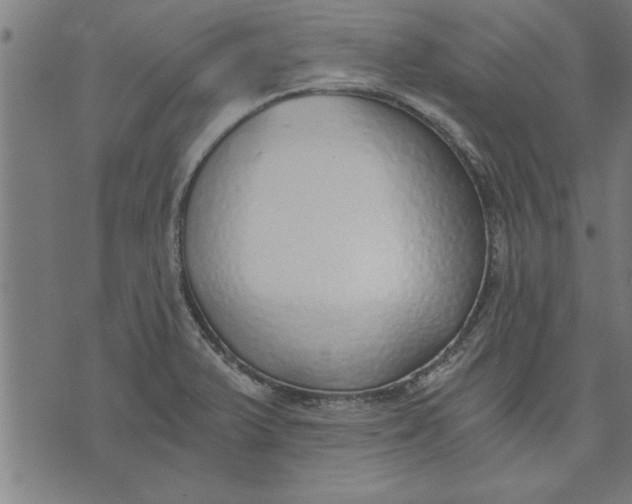 X0000073491375200608211639