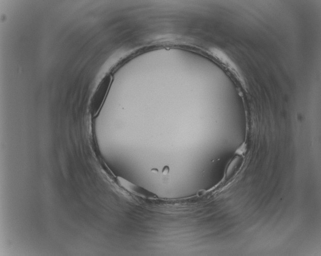 X0000073491376200608211639