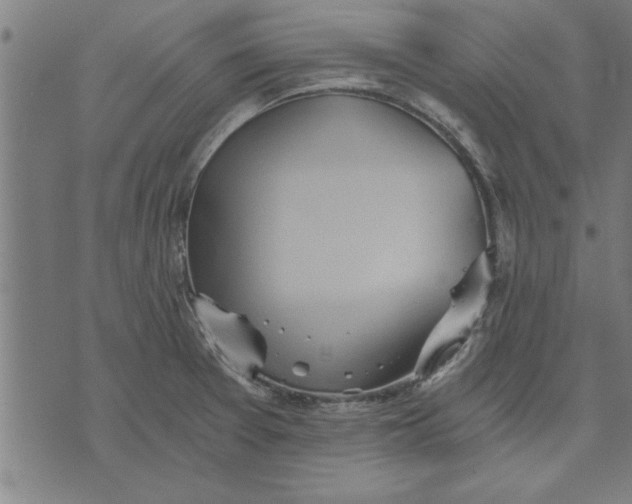 X0000073491377200608211639