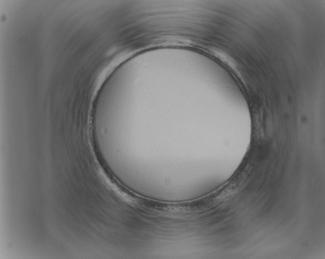 X0000073491379200608211639