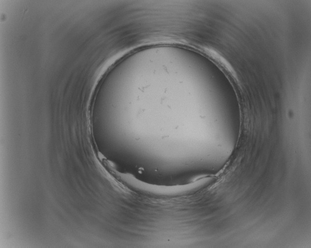 X0000073491380200608211639