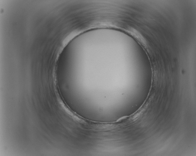 X0000073491382200608211639