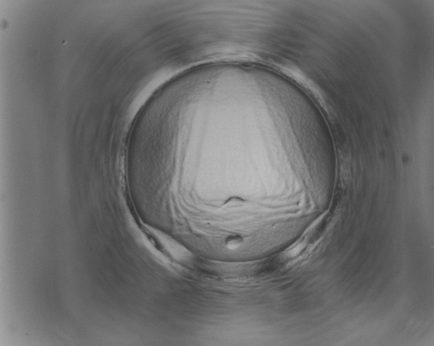 X0000073491383200608211639