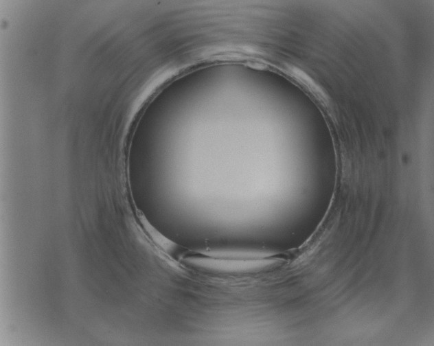 X0000073491384200608211639