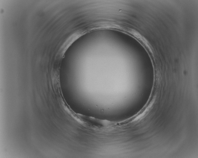 X0000073491385200608211639