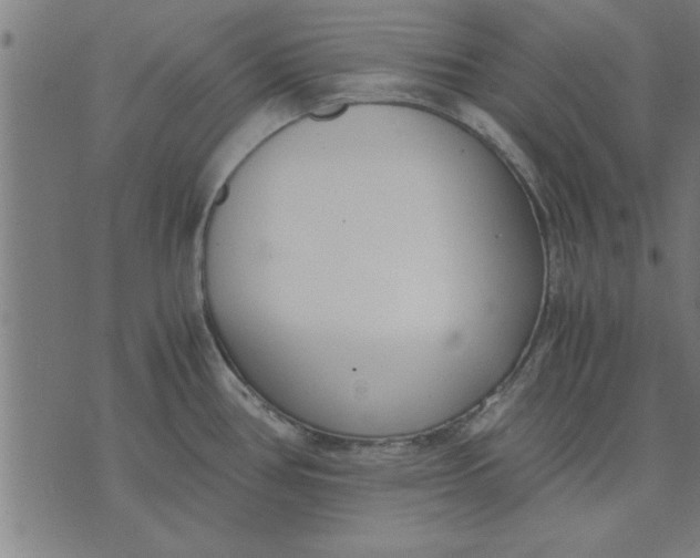 X0000073491386200608211639