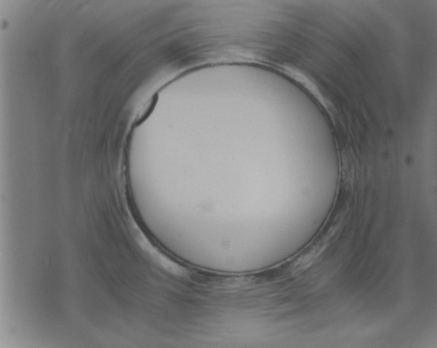 X0000073491387200608211639