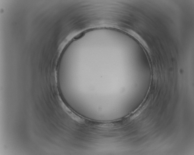 X0000073491388200608211639