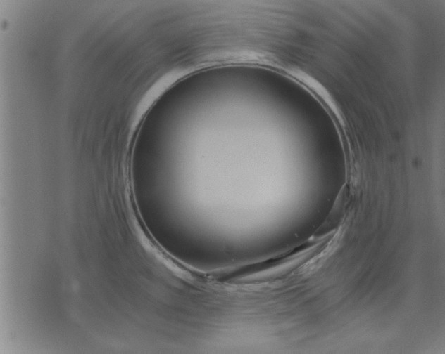 X0000073491389200608211639