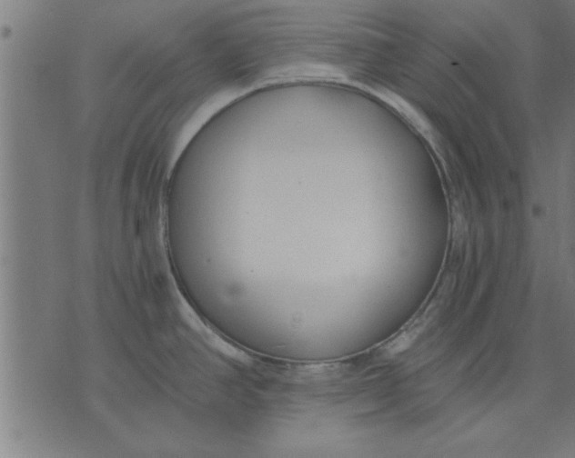 X0000073491390200608211639