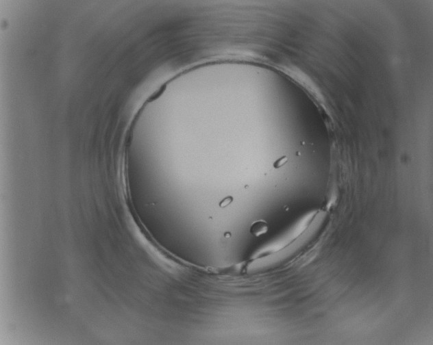 X0000073491391200608211639