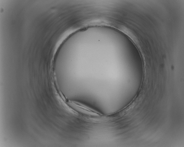 X0000073491392200608211639